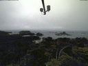 ./images/calvert/lookout/20210704/lookout20210704_163501.jpg