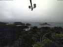 ./images/calvert/lookout/20210704/lookout20210704_164001.jpg