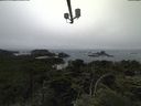 ./images/calvert/lookout/20210704/lookout20210704_165501.jpg