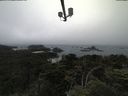 ./images/calvert/lookout/20210704/lookout20210704_173501.jpg