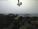 ./images/calvert/lookout/20210704/lookout20210704_175002.jpg