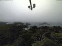 ./images/calvert/lookout/20210704/lookout20210704_175502.jpg