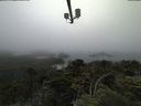 ./images/calvert/lookout/20210704/lookout20210704_182502.jpg