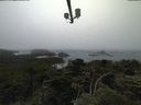 ./images/calvert/lookout/20210704/lookout20210704_184001.jpg