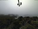 ./images/calvert/lookout/20210704/lookout20210704_185501.jpg