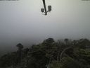 ./images/calvert/lookout/20210704/lookout20210704_204001.jpg