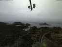 ./images/calvert/lookout/20210705/lookout20210705_045002.jpg