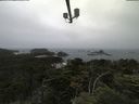 ./images/calvert/lookout/20210705/lookout20210705_084501.jpg