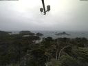 ./images/calvert/lookout/20210705/lookout20210705_085501.jpg