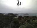 ./images/calvert/lookout/20210705/lookout20210705_100002.jpg