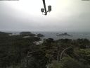 ./images/calvert/lookout/20210705/lookout20210705_100501.jpg