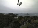 ./images/calvert/lookout/20210705/lookout20210705_101501.jpg