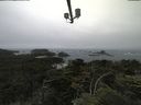./images/calvert/lookout/20210705/lookout20210705_102001.jpg