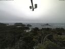 ./images/calvert/lookout/20210705/lookout20210705_103501.jpg