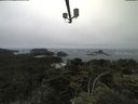 ./images/calvert/lookout/20210705/lookout20210705_104001.jpg