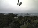 ./images/calvert/lookout/20210705/lookout20210705_104501.jpg