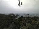 ./images/calvert/lookout/20210705/lookout20210705_105001.jpg