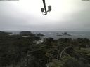 ./images/calvert/lookout/20210705/lookout20210705_105501.jpg