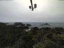 ./images/calvert/lookout/20210705/lookout20210705_110501.jpg