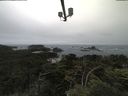 ./images/calvert/lookout/20210705/lookout20210705_111001.jpg
