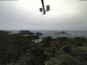 ./images/calvert/lookout/20210705/lookout20210705_111501.jpg