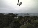 ./images/calvert/lookout/20210705/lookout20210705_114002.jpg
