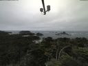 ./images/calvert/lookout/20210705/lookout20210705_114502.jpg
