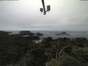 ./images/calvert/lookout/20210705/lookout20210705_115002.jpg