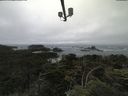 ./images/calvert/lookout/20210705/lookout20210705_122001.jpg