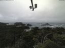 ./images/calvert/lookout/20210705/lookout20210705_125501.jpg