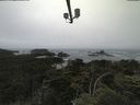 ./images/calvert/lookout/20210705/lookout20210705_133502.jpg