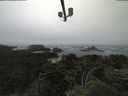 ./images/calvert/lookout/20210705/lookout20210705_135501.jpg