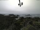 ./images/calvert/lookout/20210705/lookout20210705_141001.jpg