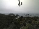 ./images/calvert/lookout/20210705/lookout20210705_141501.jpg