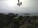 ./images/calvert/lookout/20210705/lookout20210705_142001.jpg