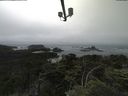 ./images/calvert/lookout/20210705/lookout20210705_143501.jpg