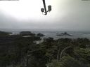 ./images/calvert/lookout/20210705/lookout20210705_144001.jpg