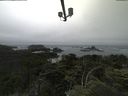./images/calvert/lookout/20210705/lookout20210705_144501.jpg