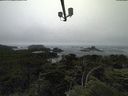 ./images/calvert/lookout/20210705/lookout20210705_145501.jpg