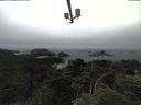 ./images/calvert/lookout/20210705/lookout20210705_162501.jpg