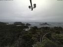 ./images/calvert/lookout/20210705/lookout20210705_165501.jpg