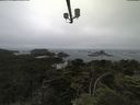 ./images/calvert/lookout/20210705/lookout20210705_170502.jpg