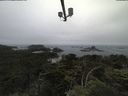 ./images/calvert/lookout/20210705/lookout20210705_171002.jpg