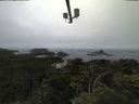 ./images/calvert/lookout/20210705/lookout20210705_171502.jpg