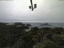 ./images/calvert/lookout/20210705/lookout20210705_183501.jpg
