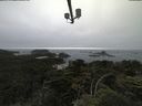 ./images/calvert/lookout/20210705/lookout20210705_185002.jpg