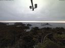 ./images/calvert/lookout/20210705/lookout20210705_214501.jpg
