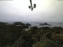./images/calvert/lookout/20210706/lookout20210706_050502.jpg