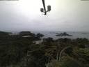 ./images/calvert/lookout/20210706/lookout20210706_051002.jpg
