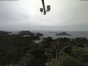 ./images/calvert/lookout/20210706/lookout20210706_073501.jpg